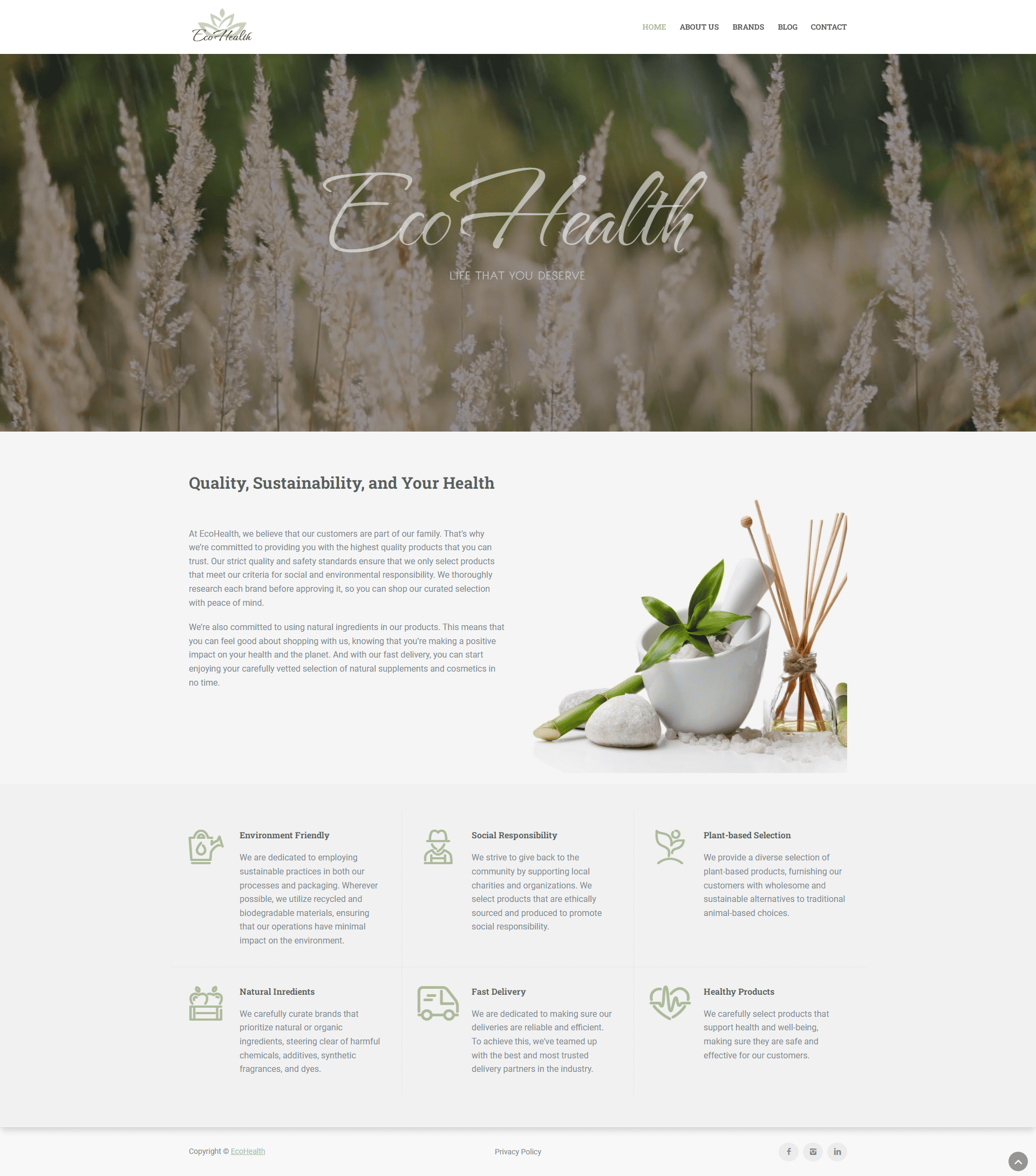 Сайт Ecohealthlife, Главная страница